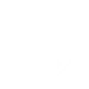MPS Foundation icon